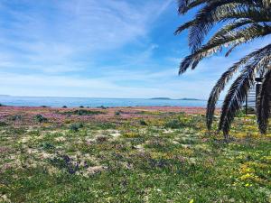 Affittacamere Acquamarina img11