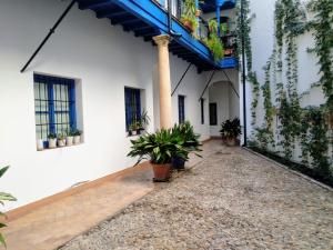 WISH SUITE JUDERIA DE SEVILLA