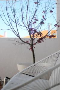 Vila Mafra - Grill Terrace