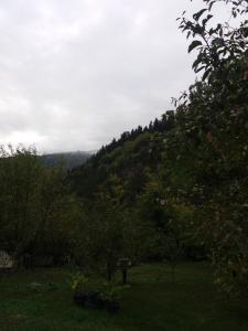 Apartament LashaGiorgi