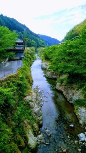 Ukiha Kojio no Akari