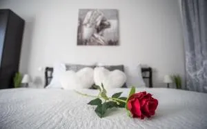 Diamond Palace - Varaždin