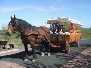 Campings Ecuries Leseigneur - Camping Insolites : photos des chambres