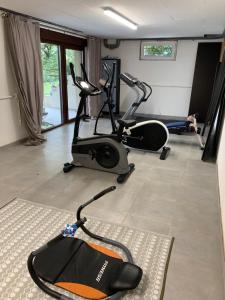 Maisons de vacances Maison au calme avec piscine pres de Truchtersheim, a 15 minutes de Strasbourg : photos des chambres