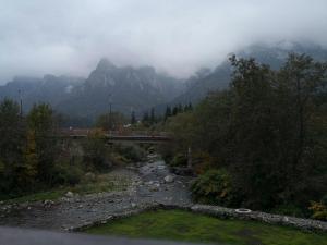 APARTAMENT GOLDEN ROSE 2