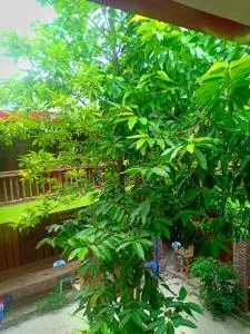 Villa Koh Rong - 瓜隆岛