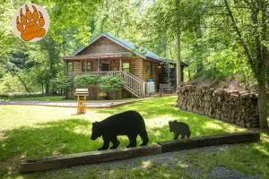 Cozy Bear, Hot tub, 1089 of FREE Attraction tickets for each paid day, Dollywood and More! - Union Grove