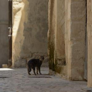 Hotels Hotel Restaurant Le Gardon - Pont du Gard : photos des chambres