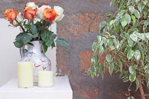 Olesamara Collection