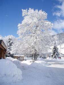 Haus Seifriedsberger