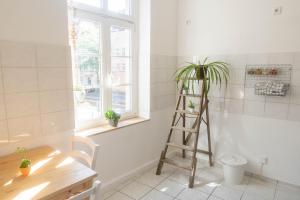 Große 3 Zimmer Wohnung mit Netflix in zentraler Lage