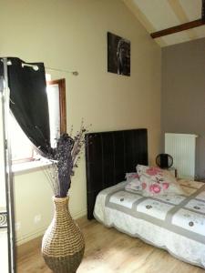 B&B / Chambres d'hotes Chateau des Aiguilles : photos des chambres