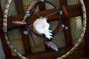 La Casa Delle Conchiglie