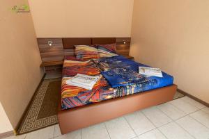 Superior Apartment room in Siberia Apartments