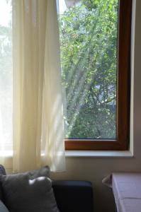 Our House In The Town