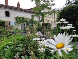 Les 2 Madeleine photo 15