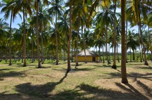 Kitelantis Tent Resort