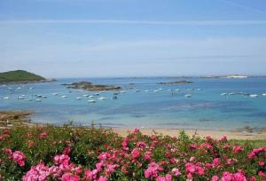 Villas TY SAM BELLE MAISON MODERNE 8 a 10 personnes - PROCHE plages et commerces : photos des chambres