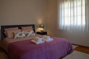 Meteora Family House