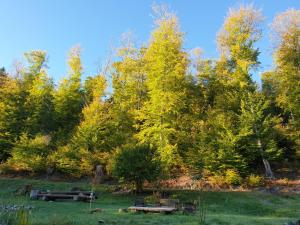 Maisons de vacances Gite de Champflorin : photos des chambres