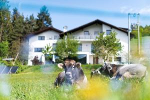 Apartement Haus Oberz&ouml;hr App 2 Nova Ponente Itaalia