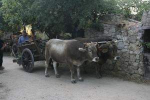 Agriturismo Il Muto di Gallura img40