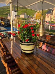 Hotelboot Zwaan