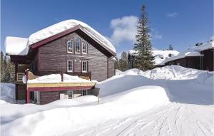 Chalets and Apartments