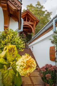 Bagoly Pincesor Fogado