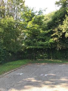 Appartements Beau Studio M Euroairport Basel-Freiburg : Appartement 1 Chambre