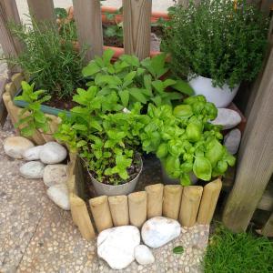 CASA del SOLE APARTMENTS with garden