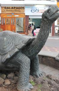 New Galapagos Hostelling
