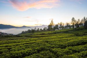 Villa Hugel by VEO - Part of StayVista