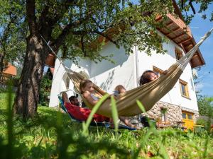 Alpeambient house Dovje 