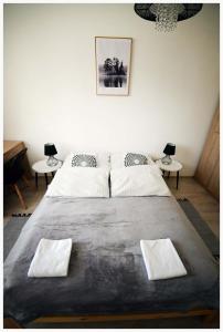 Color 24 Apartament II