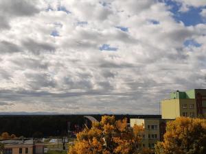 Green View Apartment