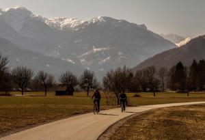 Apartmaji Alpski cvet - Hiša Gorenc