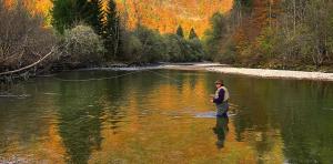 Apartmaji Alpski cvet - Hiša Gorenc