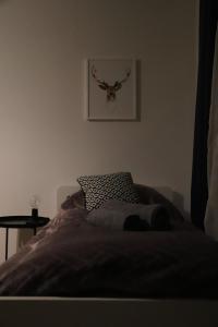 Szeroka View Apartment