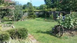 Vila Dedo Liben - Kravoder