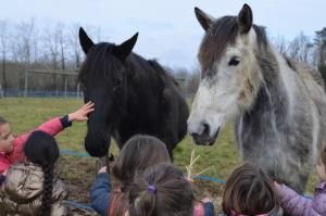 B&B / Chambres d'hotes La petite ferme de Pouillon - Parc animalier - aire de loisirs : photos des chambres