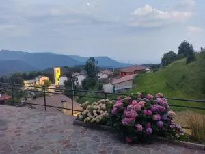 Ciclaminis - Lusevera