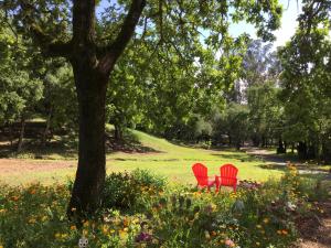 Amitabha Wine Country Cottage - 4hvězdičkové hotely ve městě Santa Rosa