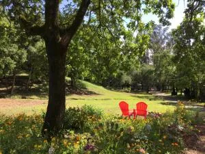 Amitabha Wine Country Cottage - Kenwood