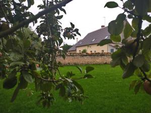 Maisons de vacances Gite de La Basse Roche : photos des chambres