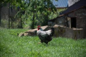 Chambres dhôtes LHirondelle