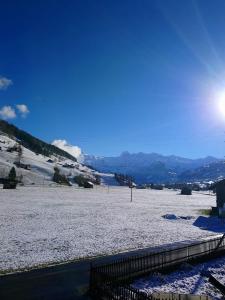 Appartement Christeler Lenk im Simmental Suisse