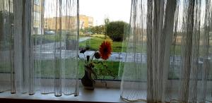 Vasaros apartamentas Nr3