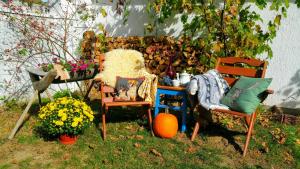 Derű Vendégház és Lovasudvar