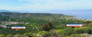 Seaside Studios Lasithi Greece